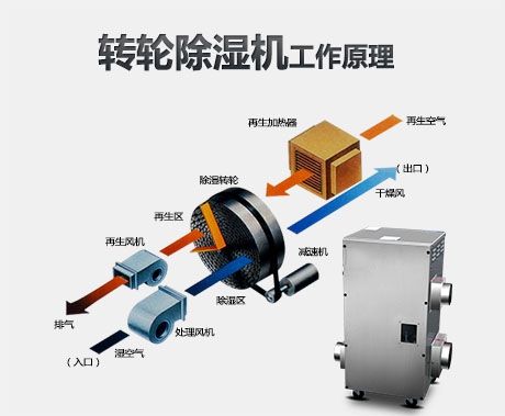 潮濕危害真不小，用除濕機(jī)真見效