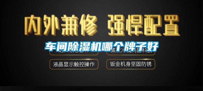 車間除濕機(jī)哪個(gè)牌子好