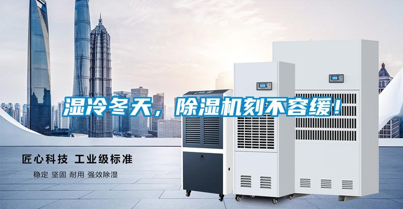 濕冷冬天，除濕機刻不容緩！