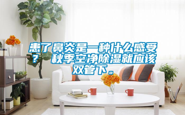 患了鼻炎是一種什么感受？ 秋季空凈除濕就應(yīng)該雙管下。