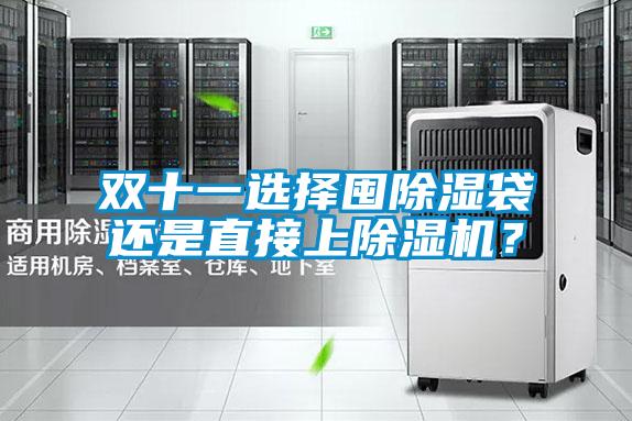 雙十一選擇囤除濕袋還是直接上除濕機(jī)？