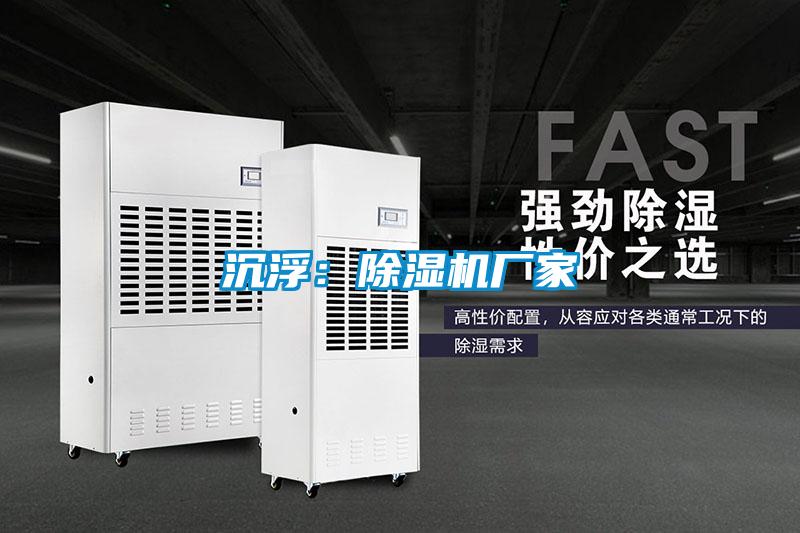沉浮：除濕機廠家
