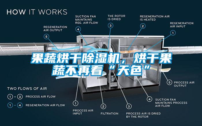 果蔬烘干除濕機，烘干果蔬不再看“天色”