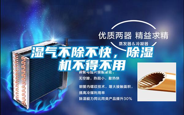 濕氣不除不快，除濕機(jī)不得不用