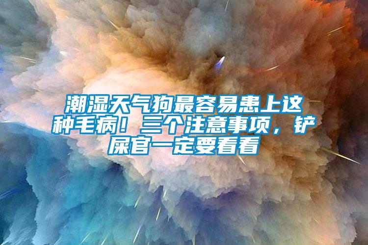 潮濕天氣狗最容易患上這種毛?。∪齻€(gè)注意事項(xiàng)，鏟屎官一定要看看