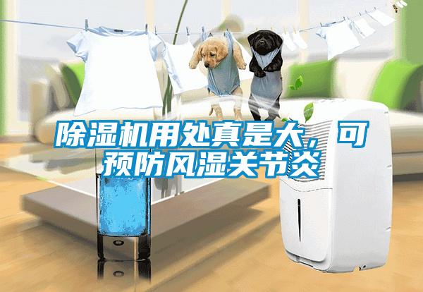 除濕機(jī)用處真是大，可預(yù)防風(fēng)濕關(guān)節(jié)炎