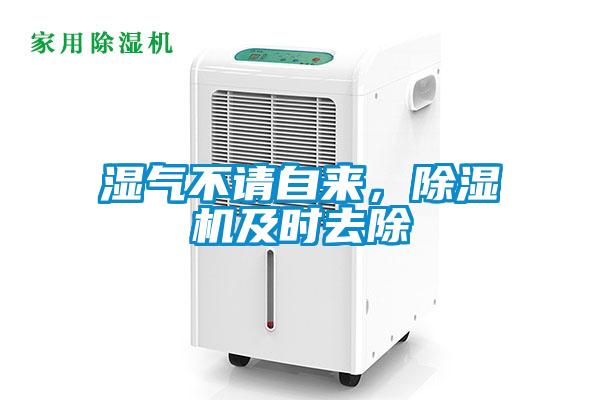濕氣不請(qǐng)自來，除濕機(jī)及時(shí)去除