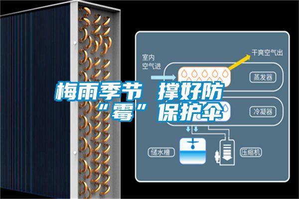 梅雨季節(jié) 撐好防“霉”保護傘
