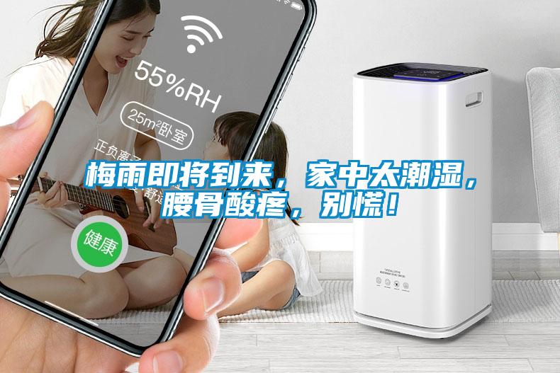梅雨即將到來，家中太潮濕，腰骨酸疼，別慌！