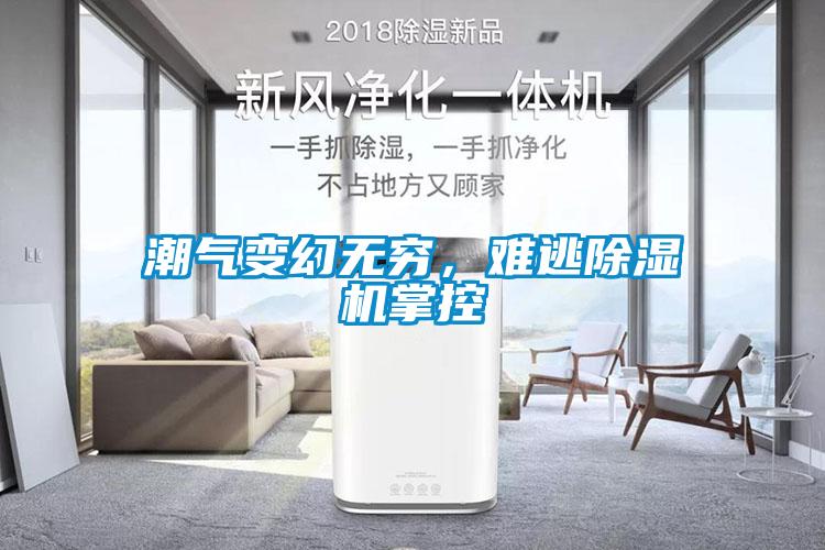 潮氣變幻無窮，難逃除濕機(jī)掌控