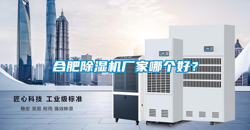 合肥除濕機(jī)廠家哪個(gè)好？