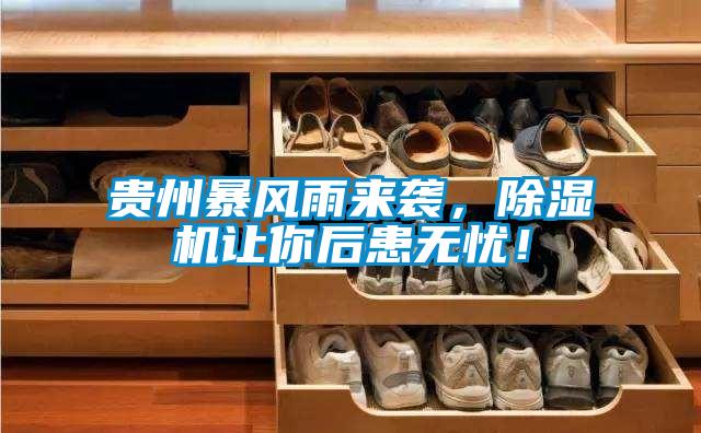 貴州暴風(fēng)雨來襲，除濕機(jī)讓你后患無憂！