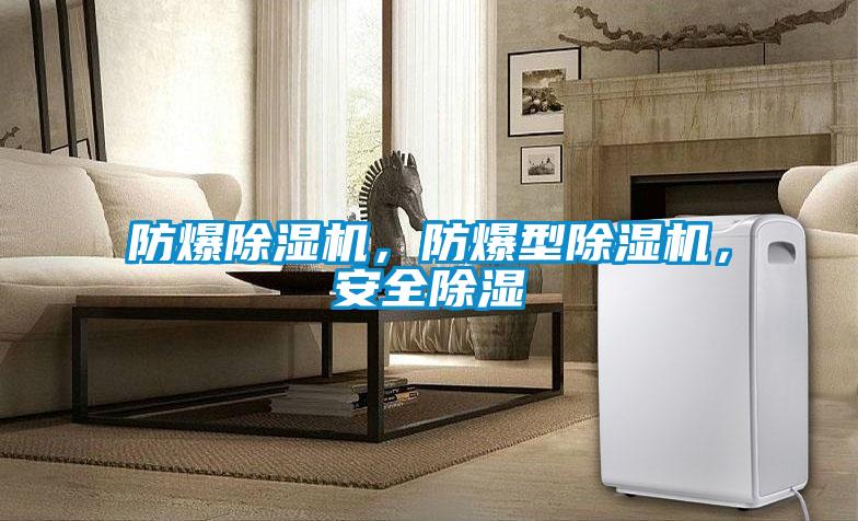 防爆除濕機，防爆型除濕機，安全除濕