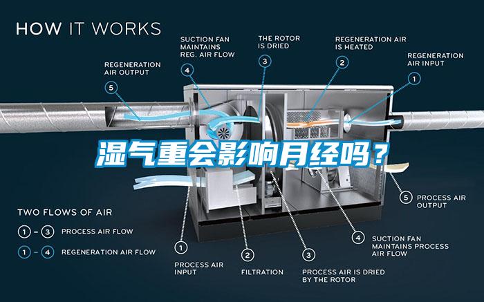 濕氣重會影響月經(jīng)嗎？