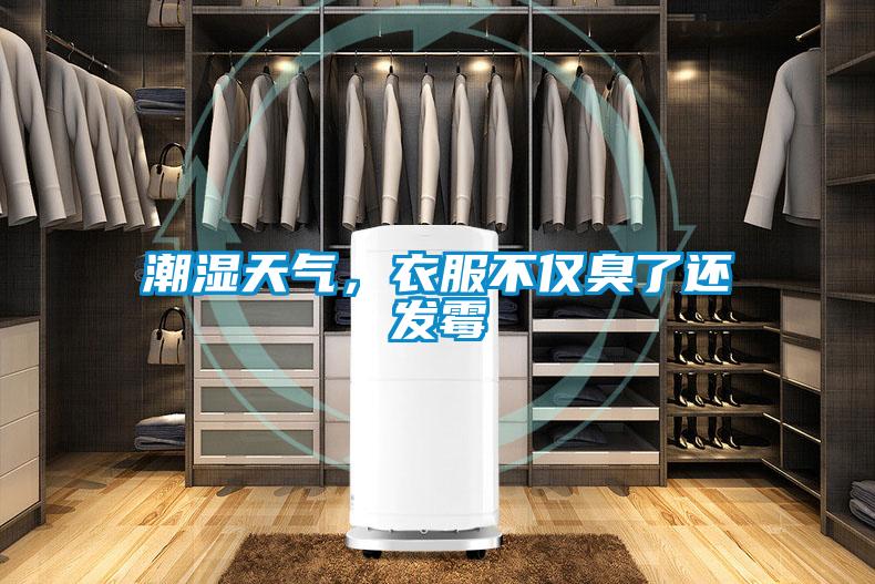潮濕天氣，衣服不僅臭了還發(fā)霉