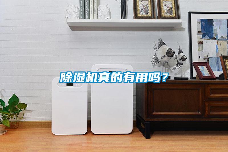 除濕機真的有用嗎？
