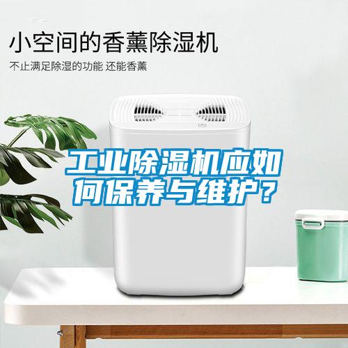 工業(yè)除濕機(jī)應(yīng)如何保養(yǎng)與維護(hù)？
