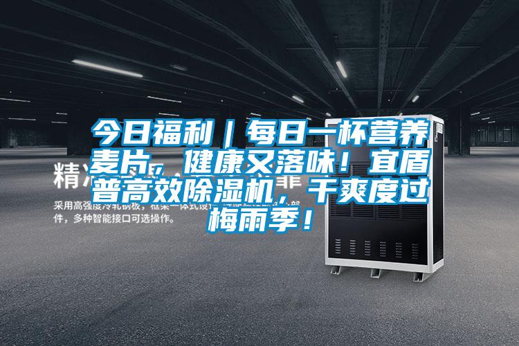 今日福利｜每日一杯營養(yǎng)麥片，健康又落味！宜盾普高效除濕機，干爽度過梅雨季！