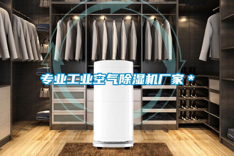 專業(yè)工業(yè)空氣除濕機廠家＊