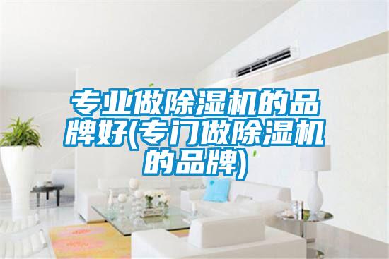 專業(yè)做除濕機的品牌好(專門做除濕機的品牌)