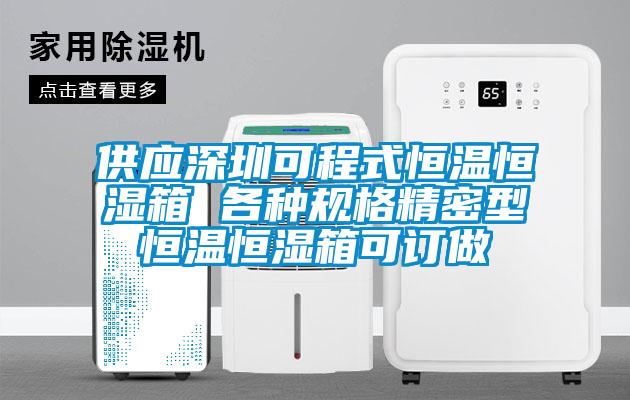 供應深圳可程式恒溫恒濕箱 各種規(guī)格精密型恒溫恒濕箱可訂做