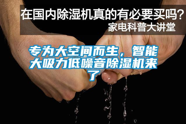 專為大空間而生，智能大吸力低噪音除濕機(jī)來了