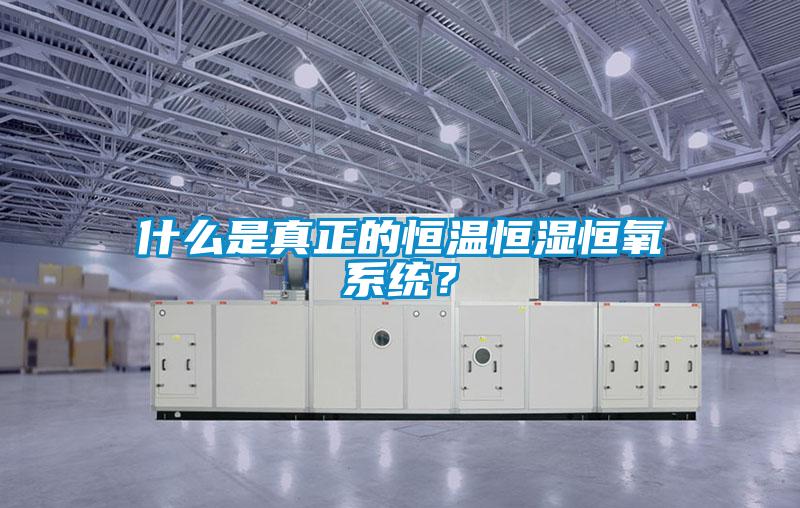 什么是真正的恒溫恒濕恒氧系統(tǒng)？