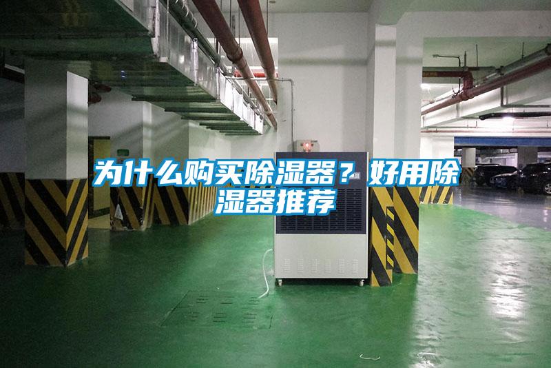 為什么購(gòu)買除濕器？好用除濕器推薦