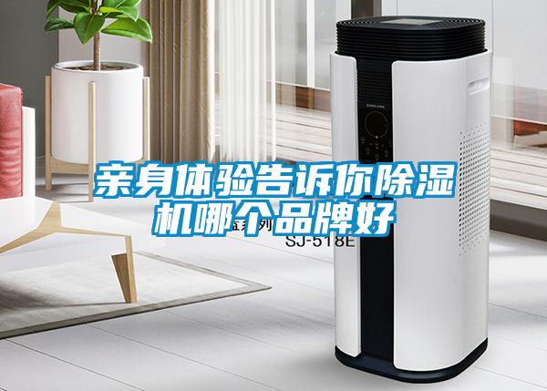 親身體驗(yàn)告訴你除濕機(jī)哪個(gè)品牌好