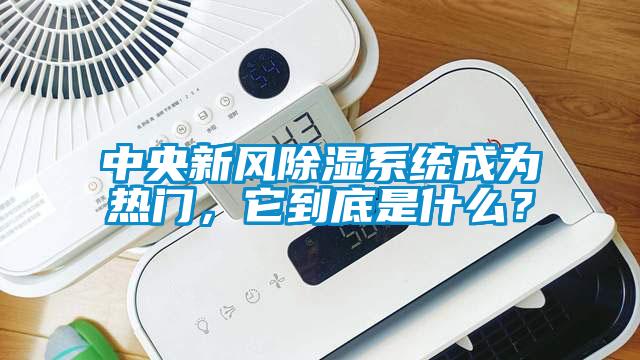 中央新風(fēng)除濕系統(tǒng)成為熱門，它到底是什么？