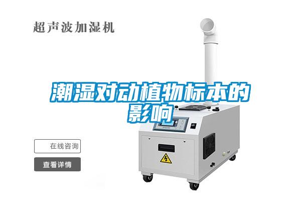 潮濕對動植物標(biāo)本的影響