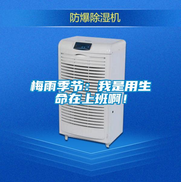 梅雨季節(jié)：我是用生命在上班??！