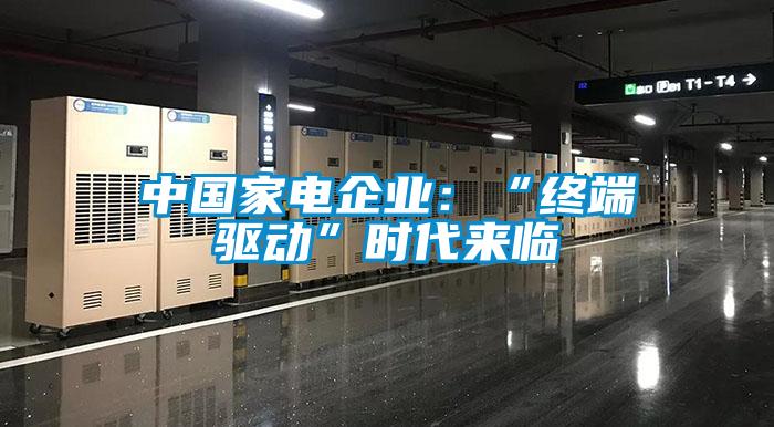 中國家電企業(yè)：“終端驅(qū)動”時代來臨
