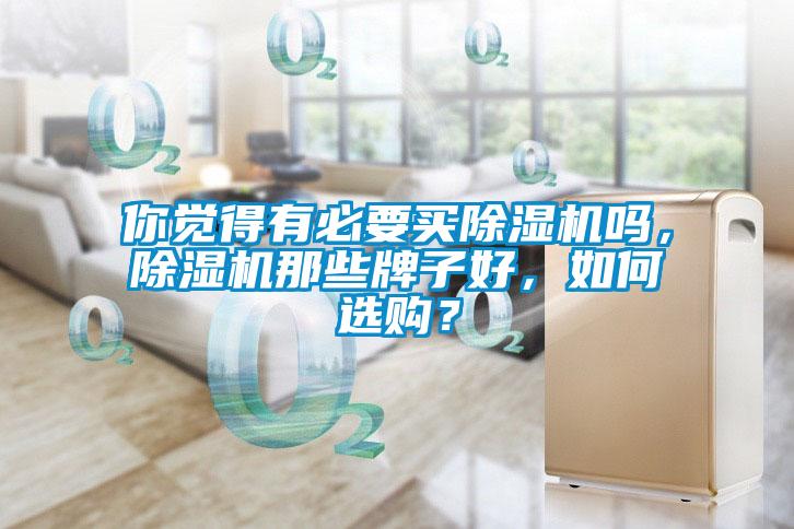 你覺得有必要買除濕機嗎，除濕機那些牌子好，如何選購？