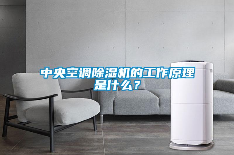 中央空調(diào)除濕機的工作原理是什么？