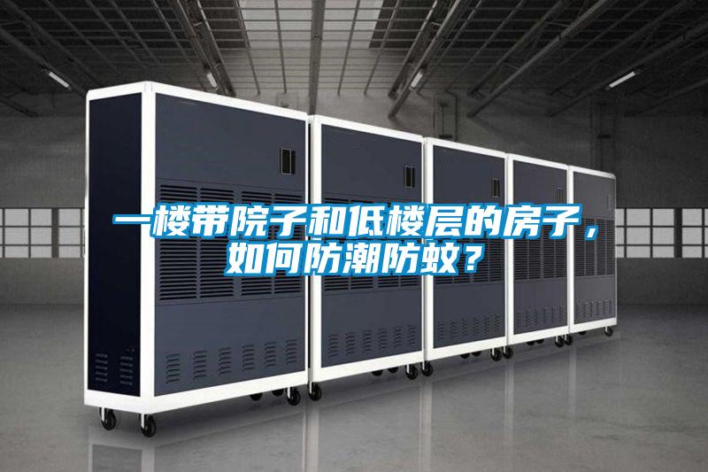 一樓帶院子和低樓層的房子，如何防潮防蚊？