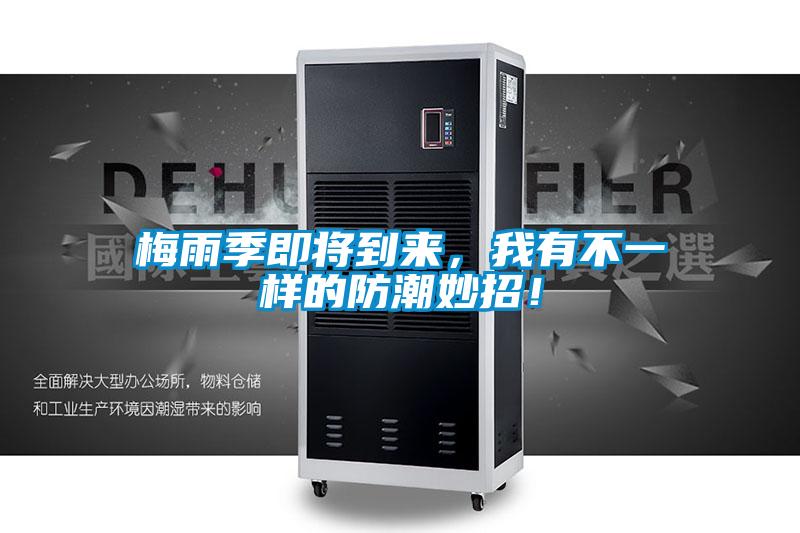 梅雨季即將到來，我有不一樣的防潮妙招！