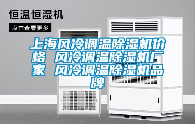 上海風(fēng)冷調(diào)溫除濕機(jī)價(jià)格 風(fēng)冷調(diào)溫除濕機(jī)廠家 風(fēng)冷調(diào)溫除濕機(jī)品牌