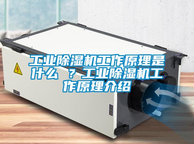 工業(yè)除濕機(jī)工作原理是什么 ？工業(yè)除濕機(jī)工作原理介紹