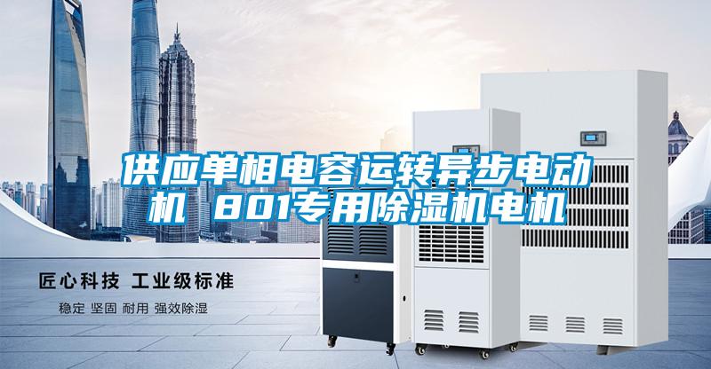 供應(yīng)單相電容運(yùn)轉(zhuǎn)異步電動(dòng)機(jī) 801專用除濕機(jī)電機(jī)