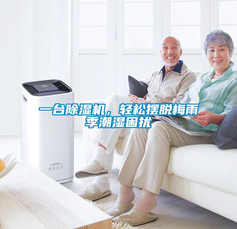 一臺除濕機，輕松擺脫梅雨季潮濕困擾
