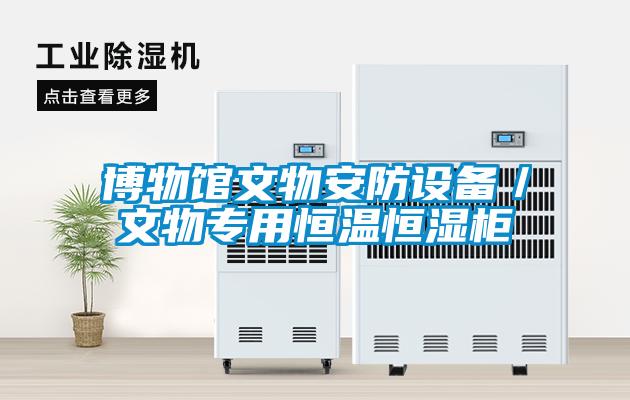 博物館文物安防設(shè)備／文物專用恒溫恒濕柜