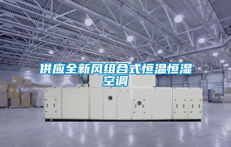 供應全新風組合式恒溫恒濕空調(diào)