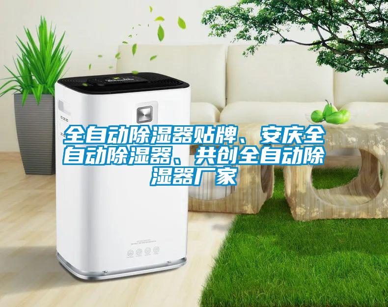 全自動除濕器貼牌、安慶全自動除濕器、共創(chuàng)全自動除濕器廠家