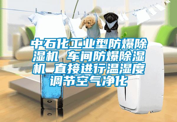 中石化工業(yè)型防爆除濕機(jī) 車間防爆除濕機(jī) 直接進(jìn)行溫濕度調(diào)節(jié)空氣凈化