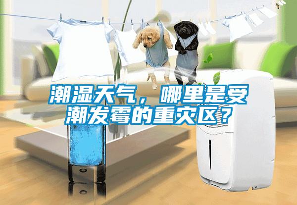 潮濕天氣，哪里是受潮發(fā)霉的重災(zāi)區(qū)？