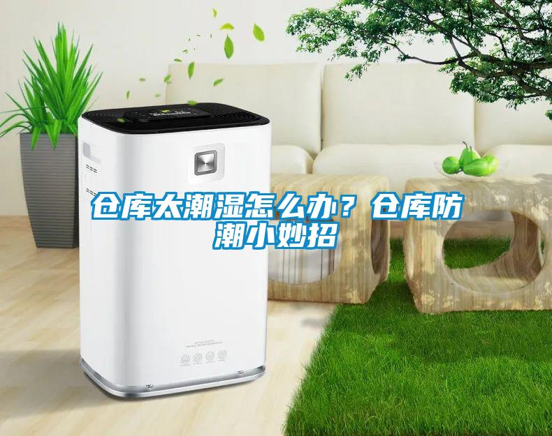 倉(cāng)庫(kù)太潮濕怎么辦？倉(cāng)庫(kù)防潮小妙招