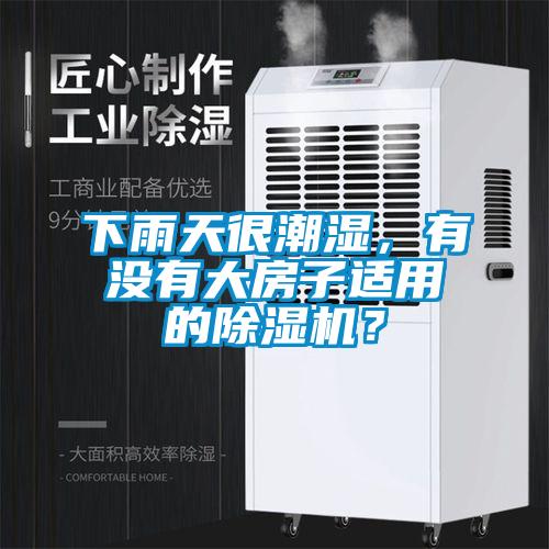 下雨天很潮濕，有沒有大房子適用的除濕機？