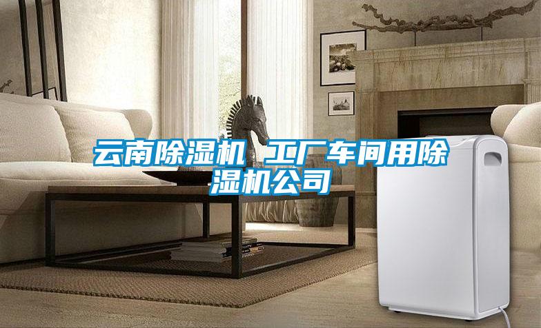 云南除濕機(jī) 工廠車間用除濕機(jī)公司
