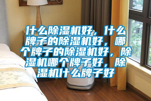 什么除濕機(jī)好，什么牌子的除濕機(jī)好，哪個牌子的除濕機(jī)好，除濕機(jī)哪個牌子好，除濕機(jī)什么牌子好